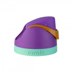 Hint of Grape Owala FreeSip® Replacement Lids | 1647-HYGIM