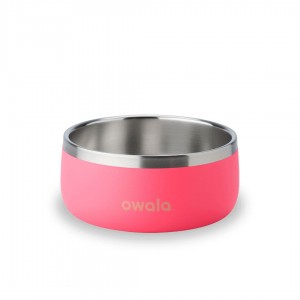 Hyper Flamingo Owala 3 Cups Pet Bowl | 1763-OYQZW