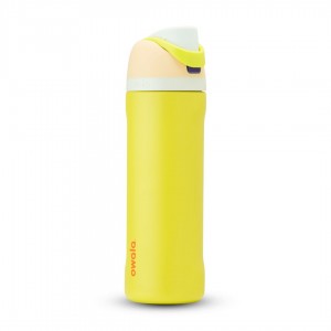 Lemon Limeade Owala 24oz FreeSip® Stainless Steel Water Bottle | 0317-AIJNE