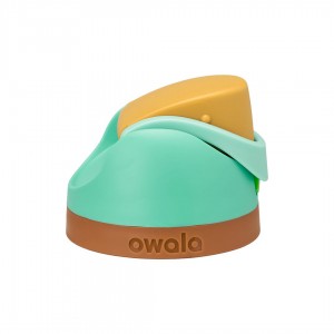 Palm Springs Owala FreeSip® Replacement Lids | 4037-CKFGX