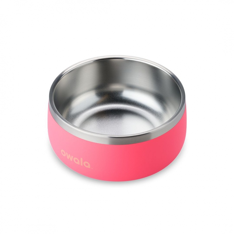 Hyper Flamingo Owala 3 Cups Pet Bowl | 1763-OYQZW