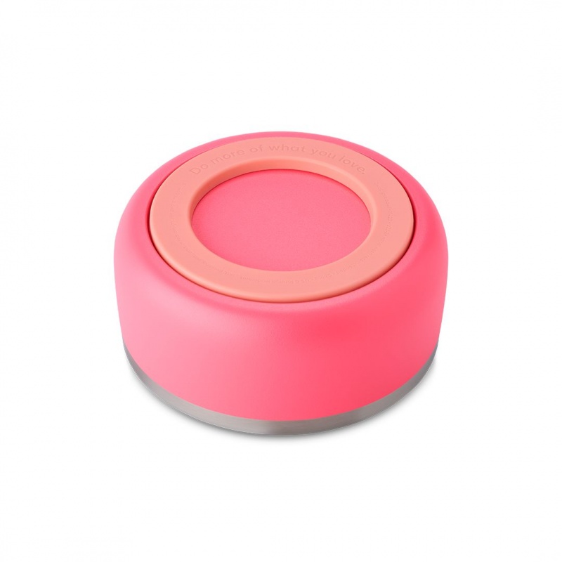 Hyper Flamingo Owala 3 Cups Pet Bowl | 1763-OYQZW