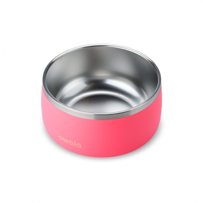 Hyper Flamingo Owala 6 Cups Pet Bowl | 6358-XMBTO