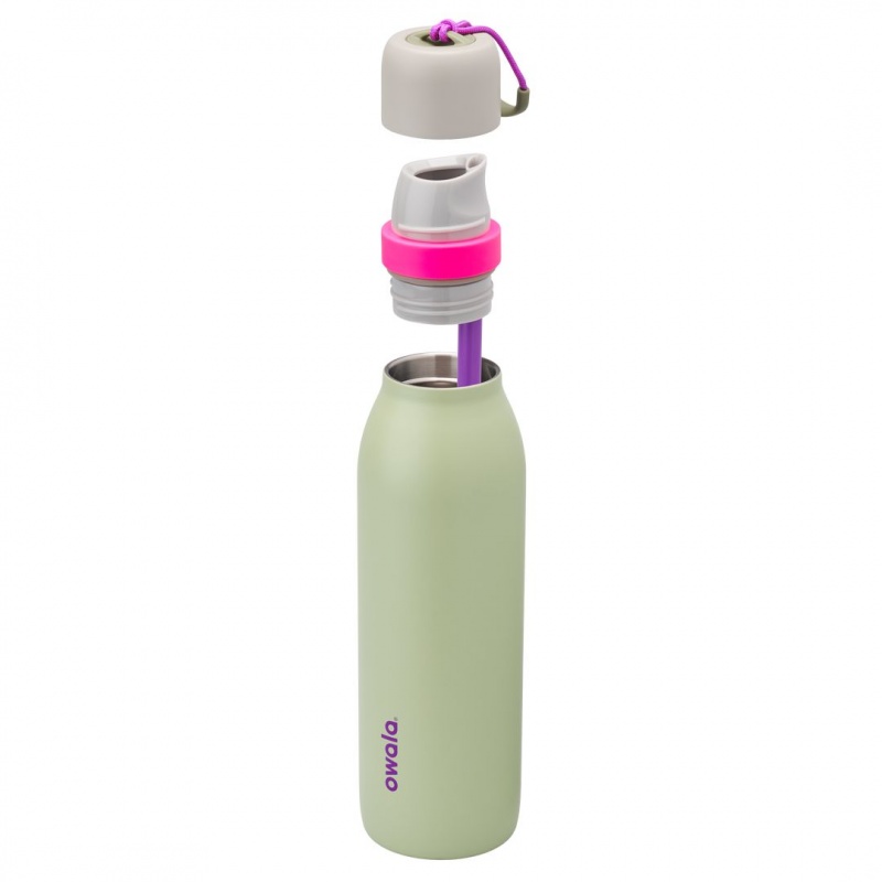 Neo Sage Owala 18oz FreeSip® Twist Water Bottle | 9027-ACEYO