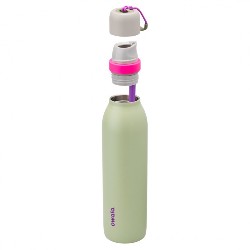 Neo Sage Owala 24oz FreeSip® Twist Water Bottle | 1925-PIBUT