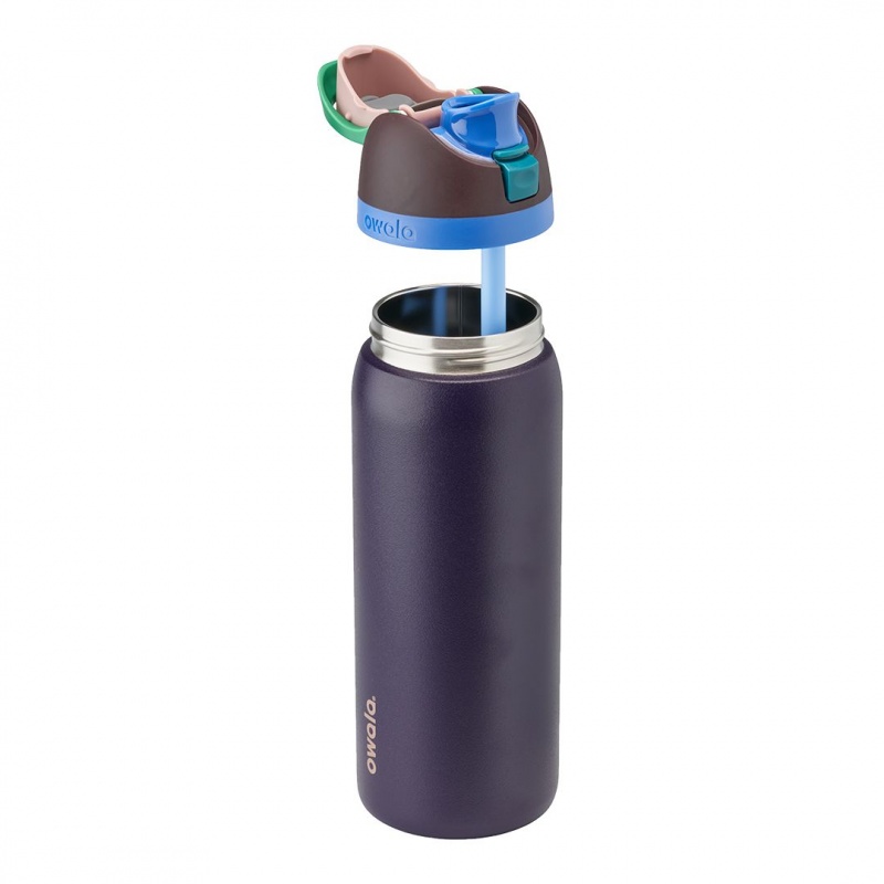 Night Safari Owala 32oz FreeSip® Stainless Steel Water Bottle | 1806-MCPTQ