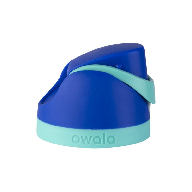 Smooshed Blueberry Owala FreeSip® Replacement Lids | 0149-AYUSR