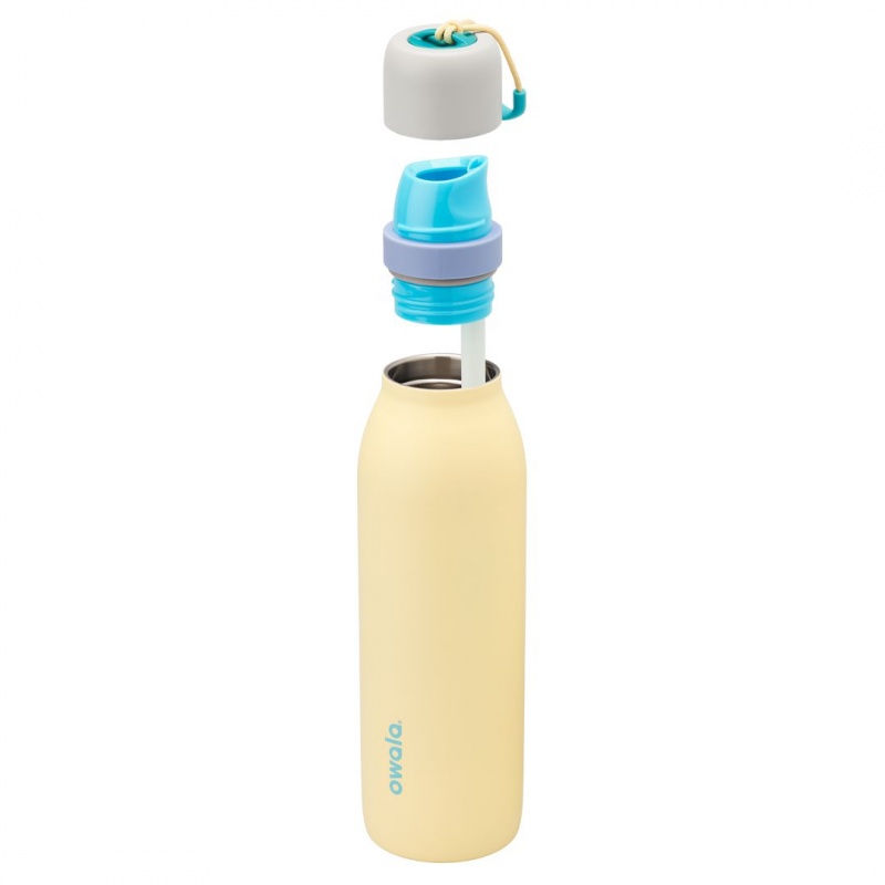 Sunny Daze Owala 18oz FreeSip® Twist Water Bottle | 2604-JXHQW