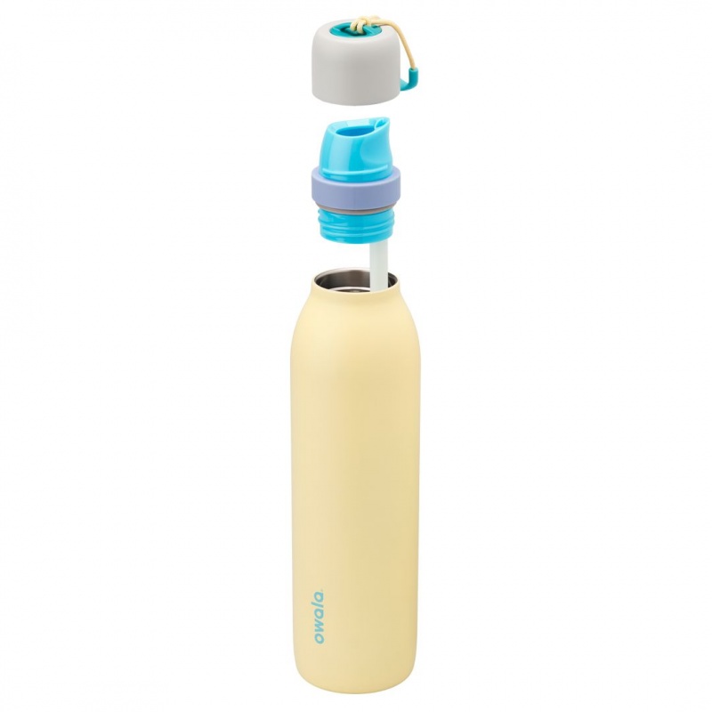 Sunny Daze Owala 24oz FreeSip® Twist Water Bottle | 8264-EARPF