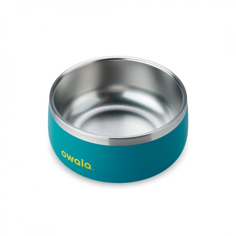 Turquoise & Caicos Owala 3 Cups Pet Bowl | 9751-DROAQ