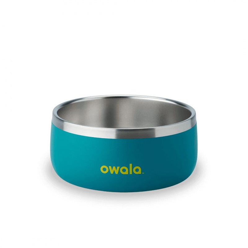 Turquoise & Caicos Owala 3 Cups Pet Bowl | 9751-DROAQ