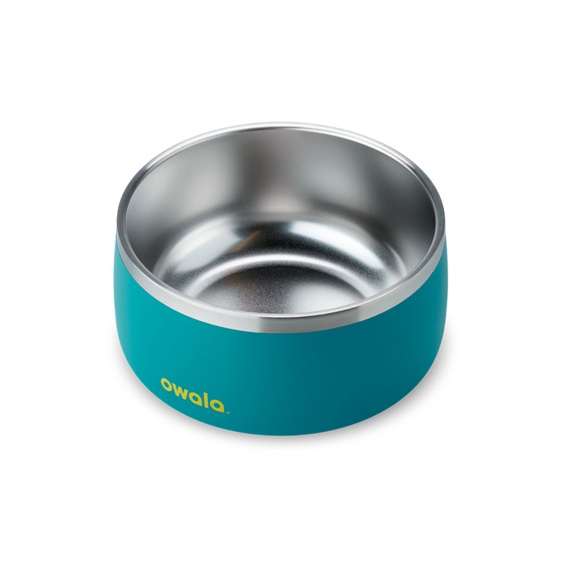 Turquoise & Caicos Owala 6 Cups Pet Bowl | 6120-NMYPX