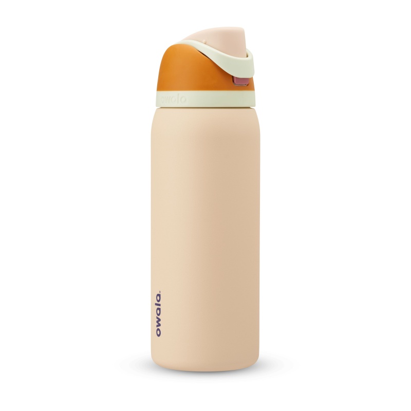 Water in the Desert Owala 32oz FreeSip® Stainless Steel Water Bottle | 2379-YGKEV